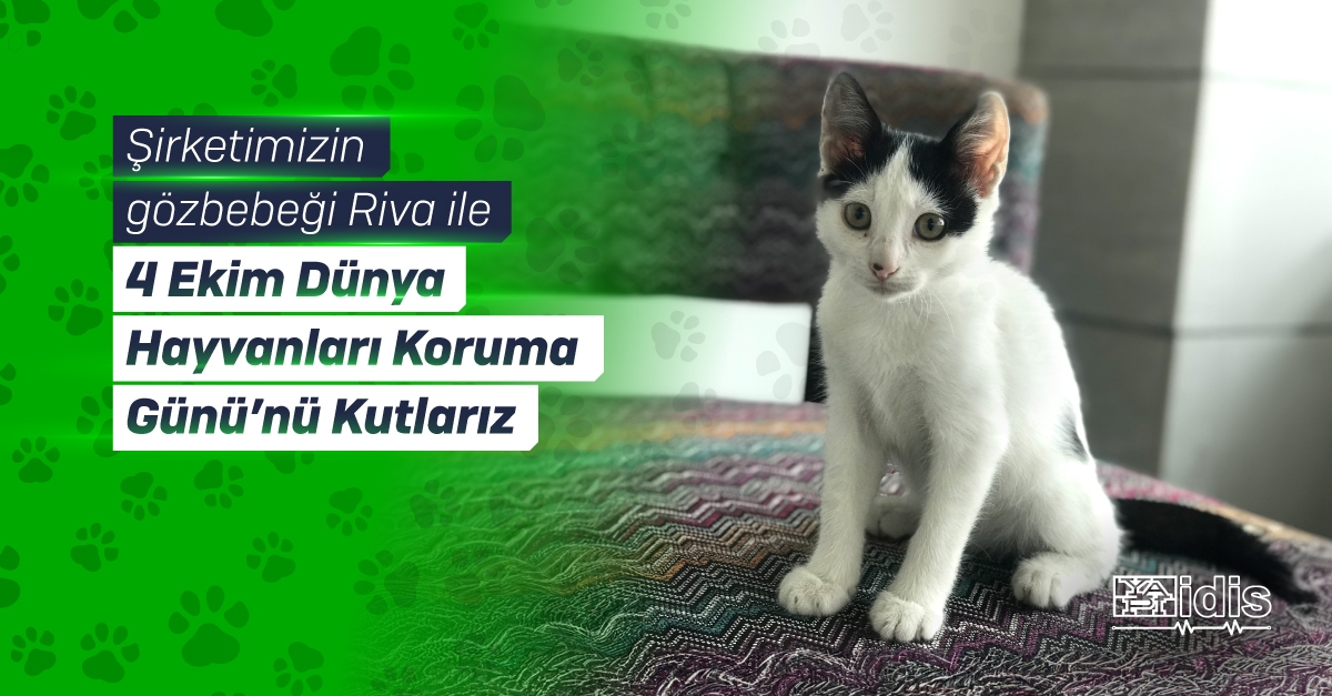 YAPI MERKEZİ İDİS Social Media Image